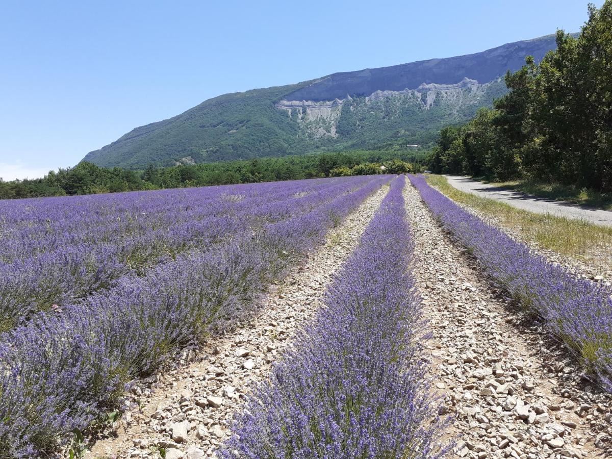 Rose Des Alpes Bed & Breakfast Serres  Bagian luar foto